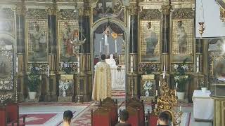 Episcopia Greco-Catolică de Oradea Live Stream