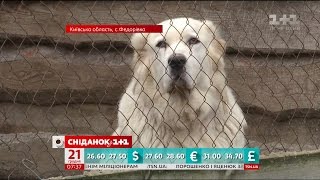 Скільки зібрали і на що витратили зібрані гроші Третього благодійного марафону