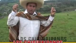 LOS CHIGUIRIPANOS - LOCAS Y COQUETAS