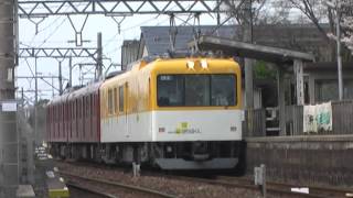 近鉄　電気検測車はかるくん　養老鉄道線検測運転2012春　桜コラボ