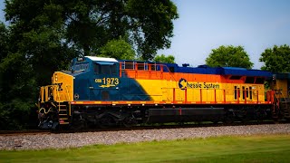 Vintage Vibes: CSX 1973 Chessie Heritage Locomotive from both sides