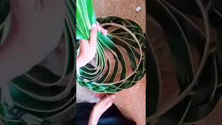 ഓലത്തൊപ്പി 🌴ഇതൊക്കെ സിംപിളാണേ #craft #diy #viral #shorts