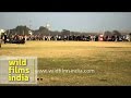 Download Indians race dogs for entertainment: fair sport or animal cruelty? To Mp4 3Gp Full HD Video 1
