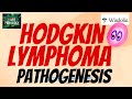 HODGKIN LYMPHOMA  | PATHOGENESIS | Reed-Sternberg Cell