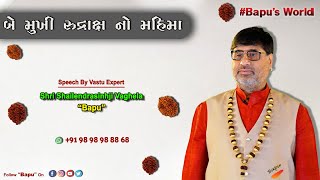 બે મુખી રુદ્રાક્ષ નો મહિમા....| Speech By Shri Shailendrasinhji Vaghela \