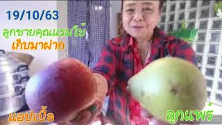 ลูกชายคุณแรมโบ้เก็บผลไม้มาฝาก🍎🍐ส่วนทางนี้ก็อบเห็ดดำไว้ฝากลูก#ภูมิใจกับวิถีชีวิตแบบพอเพียงและแบ่งปัน💓