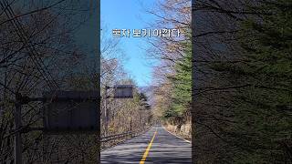 나훈아(김미성) 노래모음 - 먼훗날