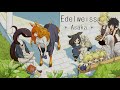 eidelweiss asaka centaur no nayami ed lyrics video