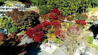 令和２年秋　海雲山高蔵寺　紅葉