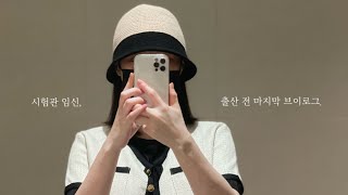 [시험관임신] 만삭 임산부의 마지막 브이로그(feat. 출산가방, 유한양행 엘레나)