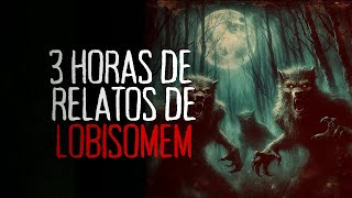 3 HORAS DE RELATOS DE LOBISOMEM