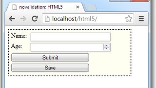 Form novalidate attribute: HTML5