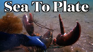 Watch Me Get More Lobster Meat Than Gordon Ramsay