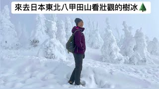 2024北海道跨年～ 八甲田山樹冰