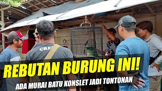 ADA MURAI BATU KONSLET DI LATBERAN!!