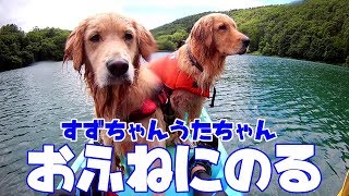 ゴールデンレトリバー/すずうたお船に乗る/犬と水遊び