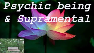 The psychic being and the Supramental - bench talks #1