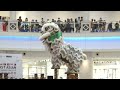 indonesia acrobatic lion dance