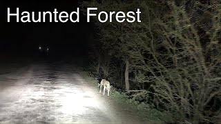 Scary Drive through the Notorious Haunted Forest at Night