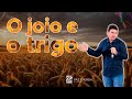 O joio e o trigo - Marcos Cleofos