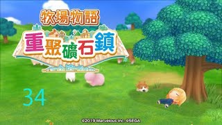 PC 版: 重回童年時~ 牧場物語 重聚礦石鎮 -34