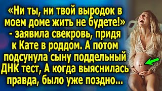 Тайна в роддоме: свекровь и поддельный ДНК тест