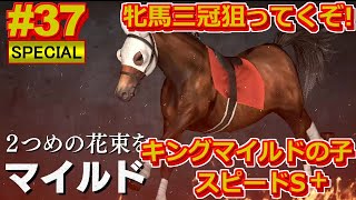 【ウイポ9 2021】＃37 牝馬三冠へ！自家生産馬で史実馬に勝つ！難易度SPECIAL！引き継ぎなし！1995年4月1週～【ウイニングポスト9 2021  Switch版】Winning Post9