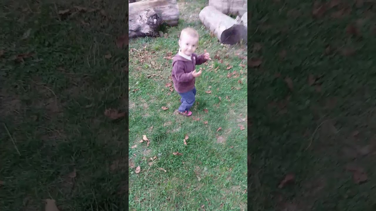 Guglis Cekva Ra Sayvarelia Youtube