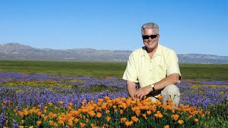 California's Gold S01E11 Natural Wonders