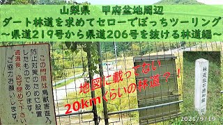 山梨県 甲府盆地周辺 ダート林道を求めてセローでぼっちツーリング　～県道219号から県道206号を抜ける林道編～