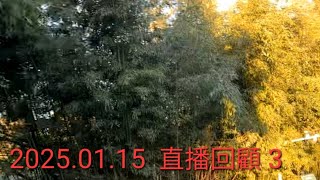 2025.01.15  直播回顧3  影片來源：微信視頻號@看見熊貓、北 動流氓兔~北京動物園，如有侵權請告之，謝謝！