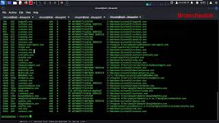 blueprint tryhackme walkthrough