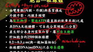 10601高三選修生物ch1 3 17粒線體三廉