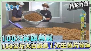 台灣第一等【頂級顆粒旗魚鬆 150公斤大白旗魚生魚片等級部位製作】_479集精選版