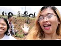 The tent City Alamada North. Cot #TravelVlog03