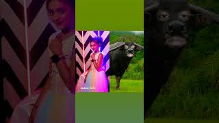 #👍aapki girl friend hai koi animal funny 🤣 video 📸😃