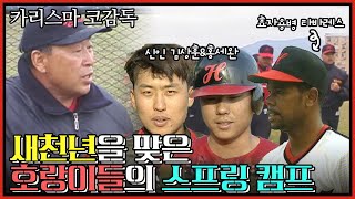 2000년 시즌 호랑이들의 스프링캠프 현장⚾️ | 신인 선수 홍세완 김상훈 윤형진 | 당시 외국인 타자 타바레스