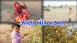 ઝીણા બોર પાક્યા | Amit Rinkal Vlogs | Amit Golani | DAILY VLOG