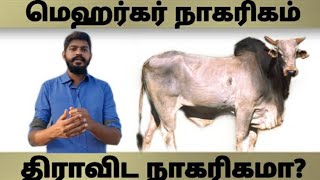 மெஹர்கர் நாகரிகம் திராவிட நாகரிகமா? | வேர்கள் | Episode 4 | Forwardmessage |