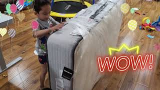 Costco Beautyrest BR800 Twin Mattress Review with Raiden - Unbox, Sleep Test, and Laugh