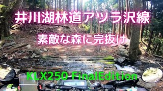 静岡の林道 井川湖 アツラ沢線 完抜 2021/6/8 KLX250 オフロードバイク オクシズ ツーリング ソロ