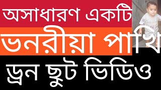 চাইনিজ দেশর সুন্দর একটি কুরতি বিল শেই বিলের রাজা হাশ বগলা জংলী কুরকা