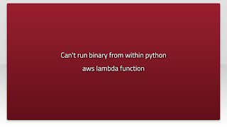 Can't run binary from within python aws lambda function
