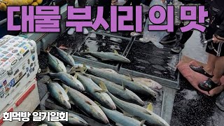 대물 부시리의 맛  일기일회 ep.03 부산 생도 선상 천해호