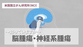 知っていますか？：脳腫瘍・神経系腫瘍／米国国立がん研究所（NCI）