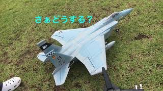 ラジコン飛行機　仲間のF-15