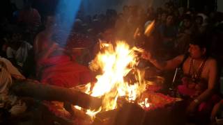 maha navavarana homam at nidimusali1