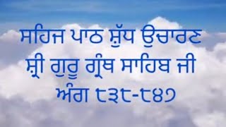 #ਸਹਿਜਪਾਠ ਸ਼ੁੱਧ ਉਚਾਰਣ ਸ਼੍ਰੀ ਗੁਰੂ ਗ੍ਰੰਥ ਸਾਹਿਬ ਜੀ ਅੰਗ ੮੩੮-੮੪੭#gurbanisanthya #punjabi #anhadgurbani #wmk