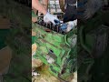 today i d like to share with you the disassembly video 3 of the john deere 4045 engine.