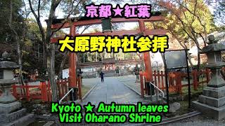 京都★紅葉★大原野神社参拝・Kyoto ・ Autumn leaves ・Visit Oharano Shrine